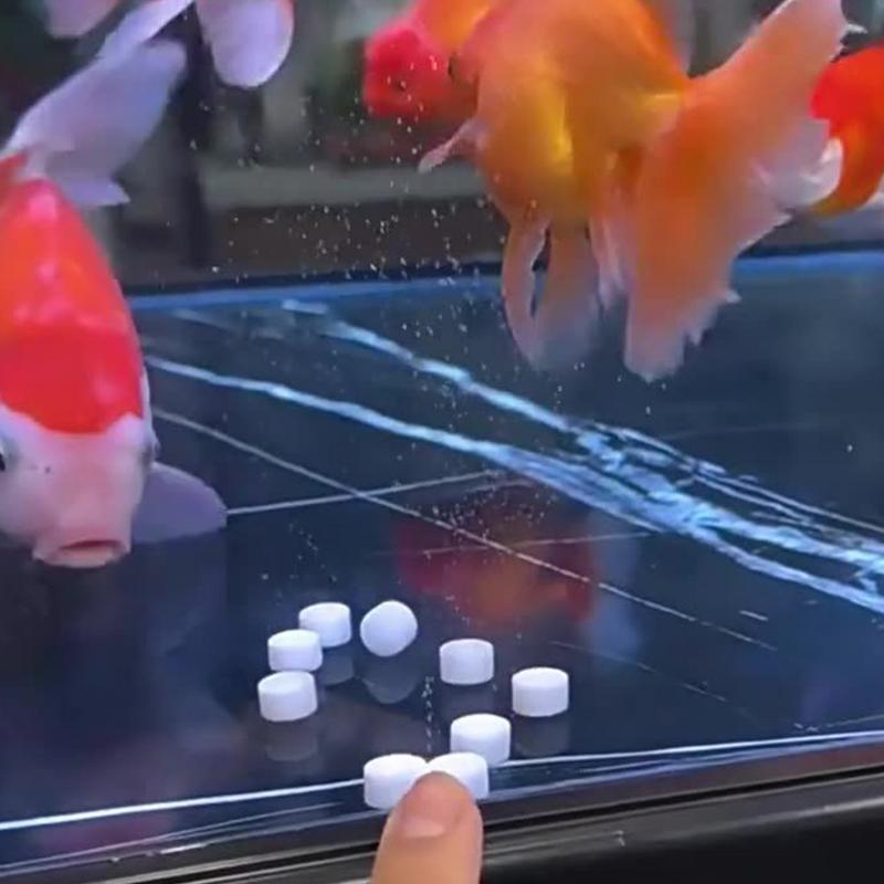 Water Purification Tablet - 수족관 정수 정제 강력한 조류 제거
