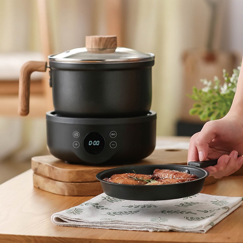 Camping Cooking Rice - 110V/220V 다기능 전기 조리기구 논스틱 프라이팬