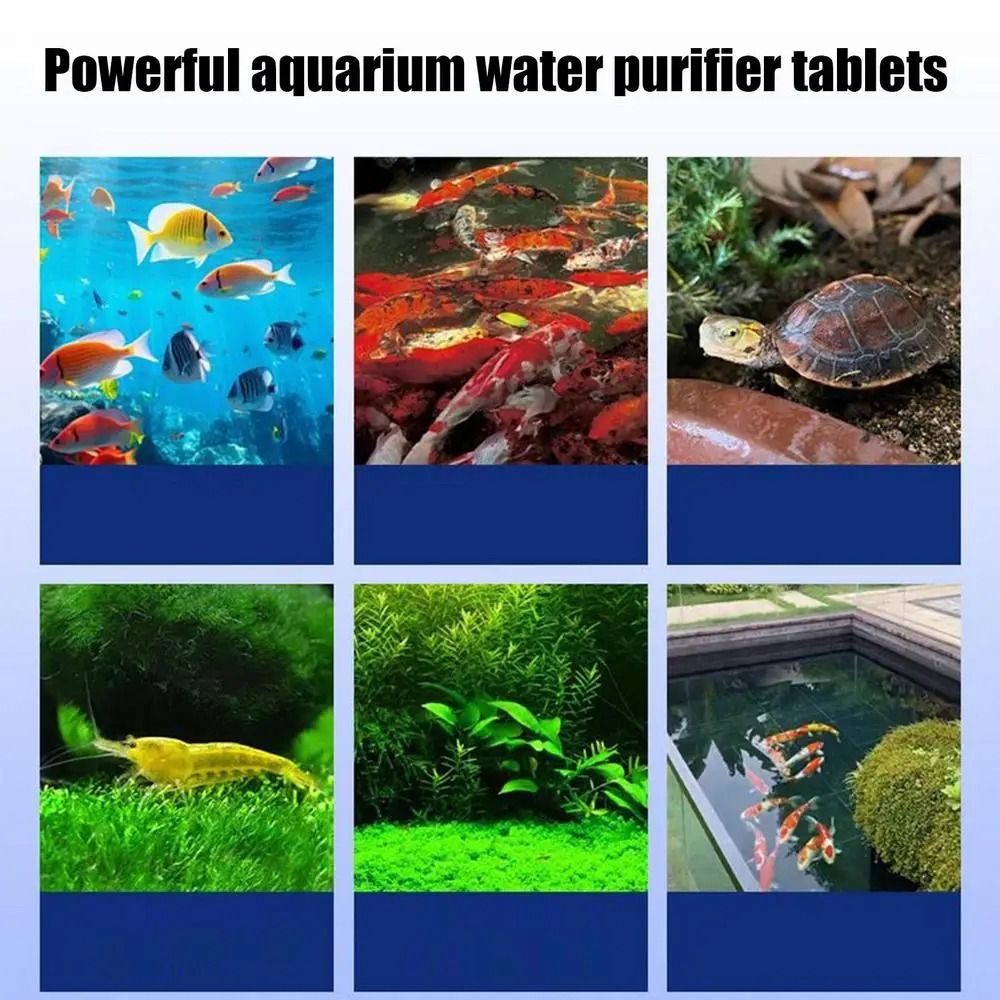 Water Purification Tablet - 강력한 정수 정제 냄새 제거제 청소용