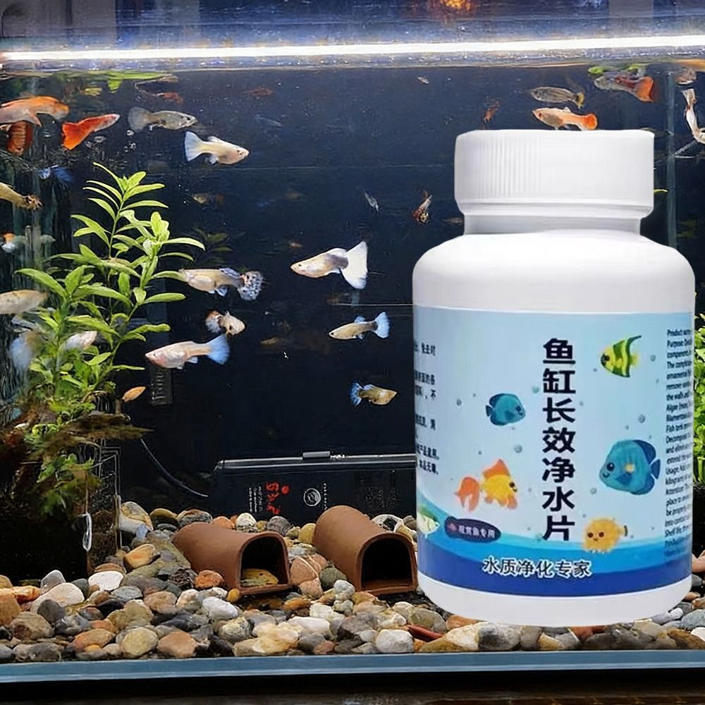 강력한 수족관 산소 정제 냄새 제거제 청소용 정수 정제 - Water Purification Tablet 리뷰 및 가격