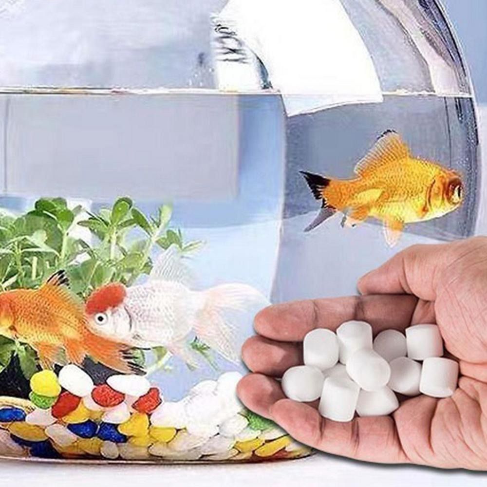 강력한 수족관 산소 정제 냄새 제거제 청소용 정수 정제 - Water Purification Tablet 리뷰 및 가격