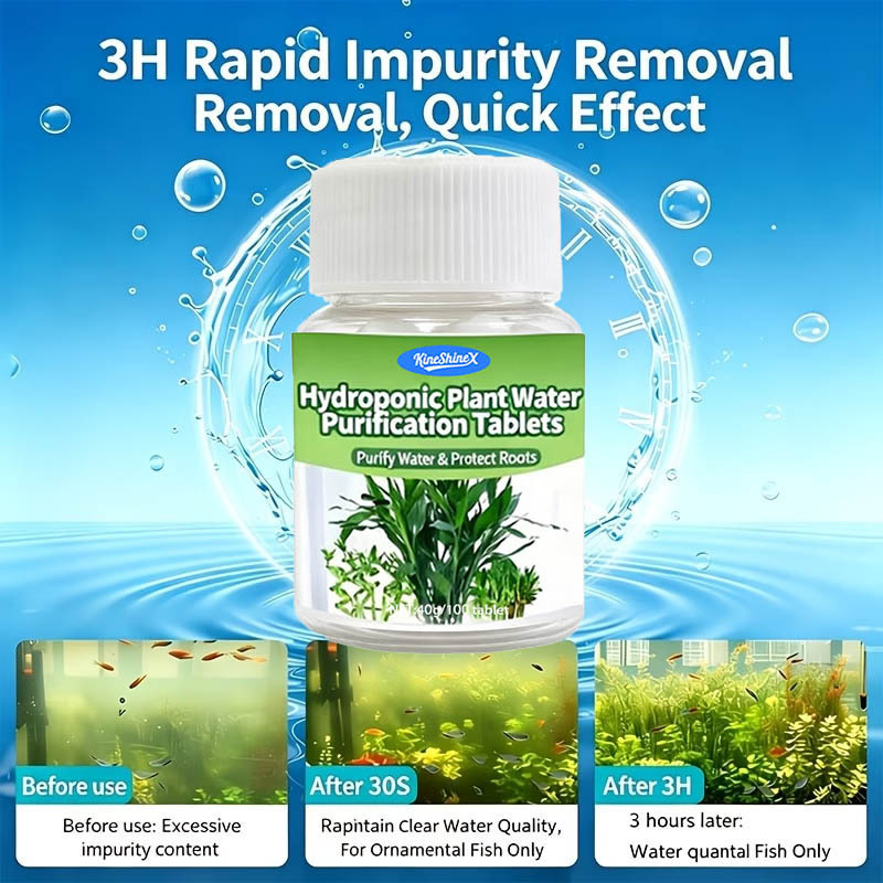 수경재배용 정수정-즉시 사용 가능한 수질 개선제, 어항 - Water Purification Tablet 리뷰 및 가격