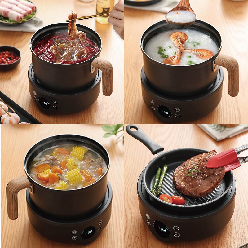 110V/220V 다기능 전기 조리기구 논스틱 프라이팬 - Camping Cooking Rice 리뷰 및 가격